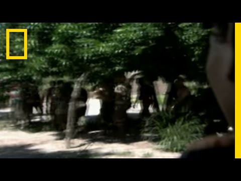 Sierra Leone Rebels Ambush