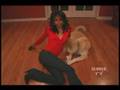 The Dog House (Pt.1) - (Reality TV)