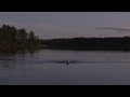 maud & leo.
novellfilm av tobias rydin, jonny von wallstr�m och akram janzi.

huvudroller spelas av: marika lindstr�m och adam lundgren.

premi�r: 2009.

www.maudleo.se