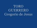 borriol toro guerrero
