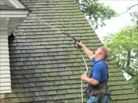 how to eliminate moss on a roof