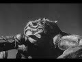 The Black Scorpion