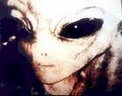 Aliens Are Coming!!  And I don't mean Jose!!