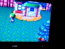 Animal Crossing for the Wii Demo (offscreen)