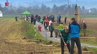 Výsadba stromů aneb dárek pro přírodu 2018