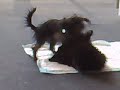 Tilly & Maddy playing