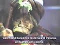 miki-gonzales.html
