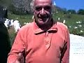 vekkio pazzo...frate birichino vekkio pazzo...frate birichino
