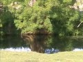 Grantchester Meadows - the real one! Grantchester Meadows - the real one!