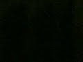 Dub It - Moa Anbessa ft. Sister 40 Dub It - Moa Anbessa ft. Sister 40