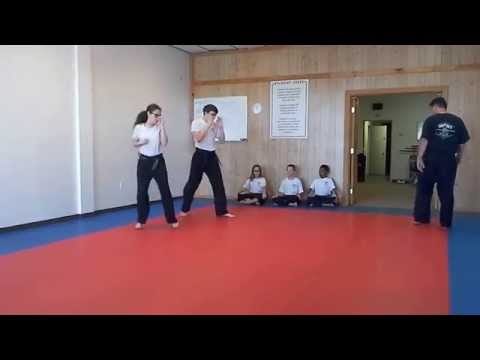 Hampton's Karate Academy - Footwork Drills 03