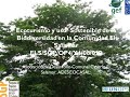 Ecoturismo y uso Sostenible de la-EL Salvador.wmv