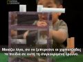 Μάθηση: Παιδιά vs Χιμπατζήδων (Greek Subtitles)