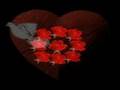 °·.♥.°·.♥.·° Tu GuLi Ez BuLBuLe TeMe. °·.♥.°·.♥.·°