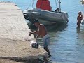 Beating Octopus