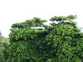 fotos 425.AVI
