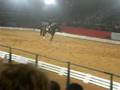 videos de Charlotte Pederson dressage spectacular