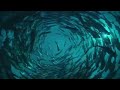 planet_earth planet_earth
