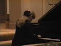 Elenor Barcsak Piano