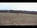 Kite jump