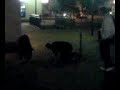 Marius Capoeira (Vollidiot^^)