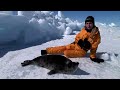 this video produced by the international fund for animal welfare features ifaw's senior research scientist sheryl fink discussing harp seals on the ice in the gulf of st. lawrence. special shout out to the ifaw supporters in the vancouver quadra area!