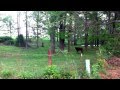 Arkansas 2012 trip