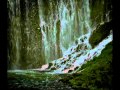 Vorschau Bild