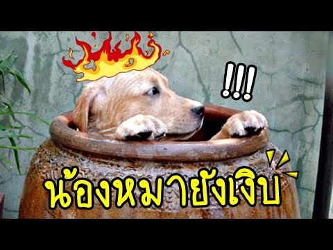 เกมนี้ฮา คนบ้ายังนั่งขำ - Getting Over It