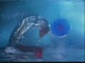 ZDTV Promo (Pool)
