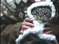 [Video]