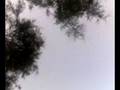 videos de Frontone Ponza 27.08.2007