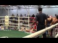 Korea MMA Champion Yang Seung Ho (Tommy Yang) fights Muay Thai for @tigermuaythai