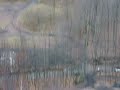 PANate making the climb, video from the top