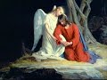 Agnus Dei Agnus Dei