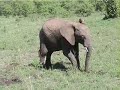 Kenya\