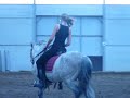 pda4 schouderbinnenwaarts op cirkel + galop