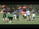 TK Carsites IT picnic 3 legged race