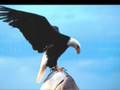 REVISTEME (EL AGUILA)