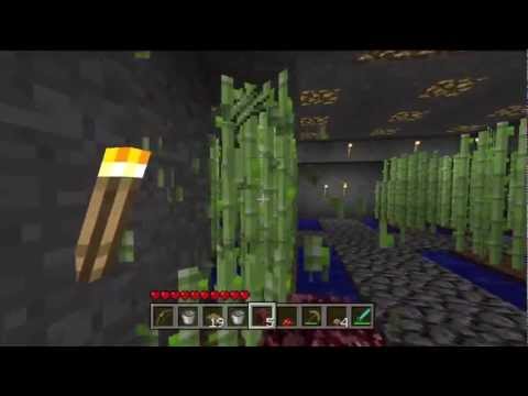 how to harvest pumpkins in minecraft xbox 360