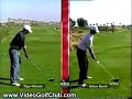 Tiger Woods vs. Adam Scoot Swing Videos