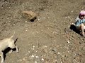piece-of-africa-3.html