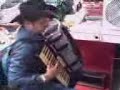 XODOZINHO tocando na minha TODESCHINI super 5