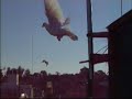 palomas roller y mensajeras en vuelo