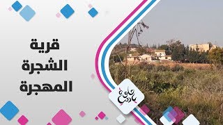قرية الشجرة المهجرة - فلسطين - حلوة يا دنيا