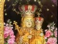 Annai Vailankanni shrine - Annual Feast (Blessings : 30-Aug-08 at 5:45 am) Annai Vailankanni shrine - Annual Feast (Blessings : 30-Aug-08 at 5:45 am)