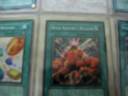 Yugioh Binder Update 12/15/08