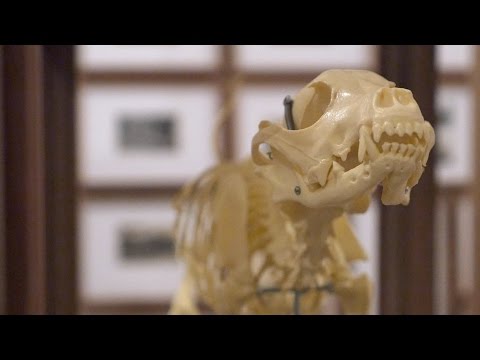 YouTube Preview Image