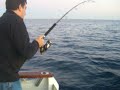 JIGGING EN CEUTA