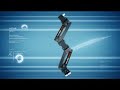 Magic Arm & Vest with Flycam 6000 Magic Arm & Vest with Flycam 6000
